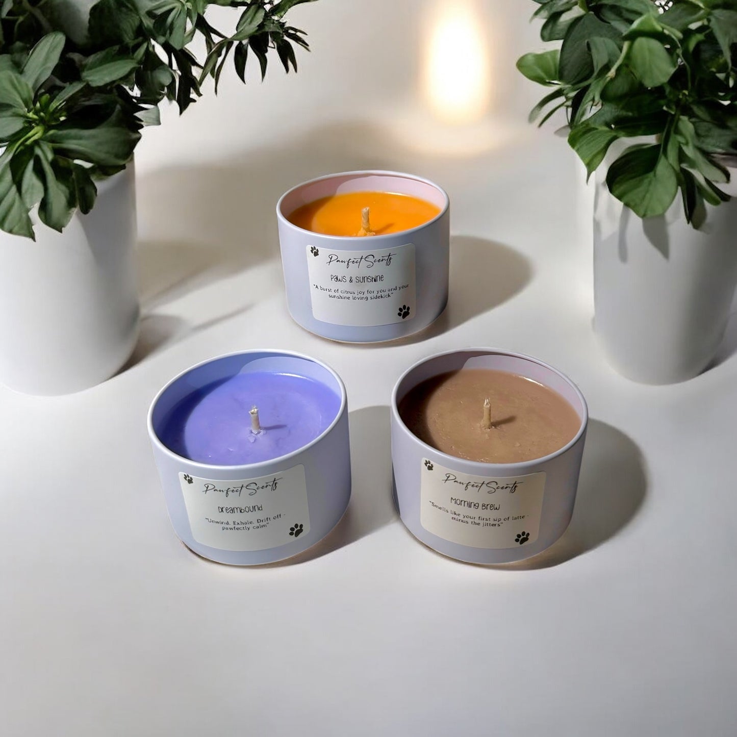 The Everyday Rituals